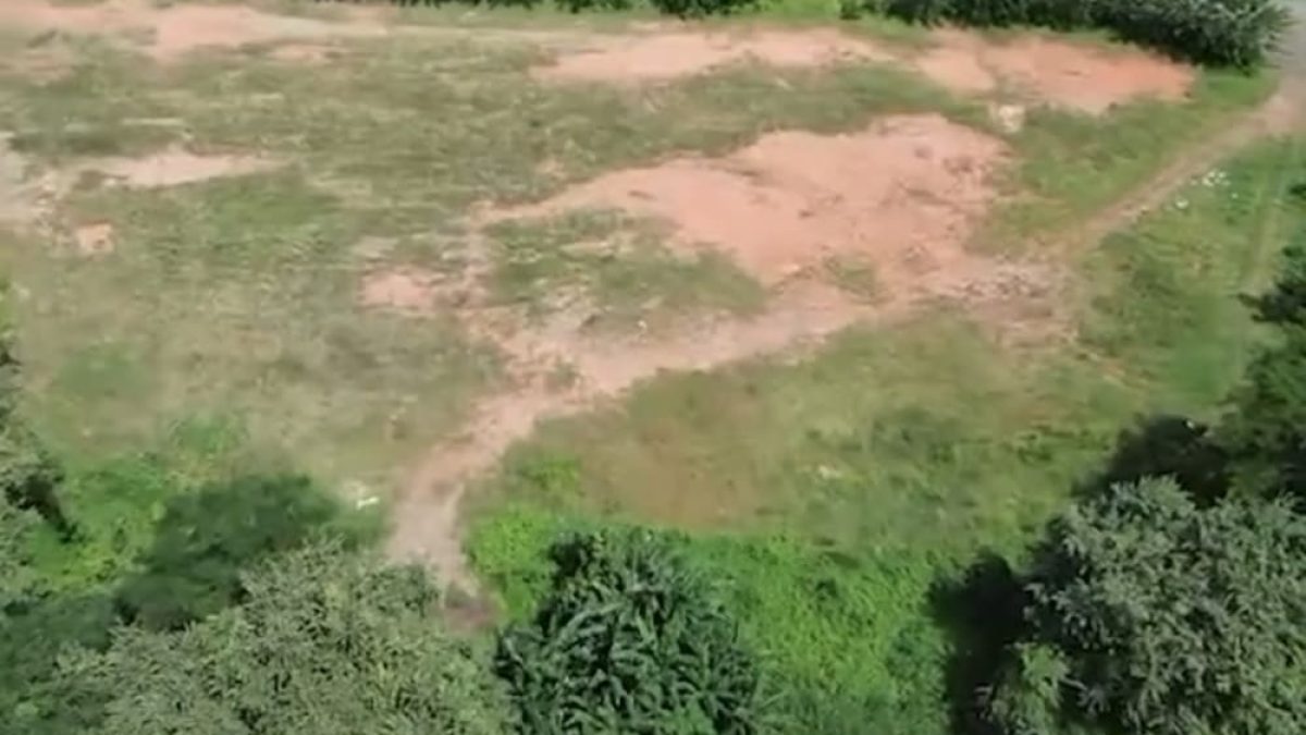 Screenshot_20251224_105217_Gallery (1)