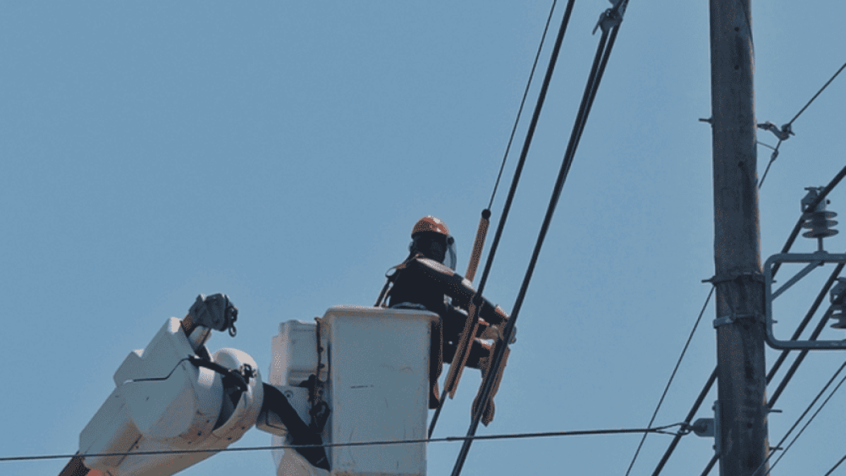 Still 2025-03-06 113307_1.8.1 (1) (1)