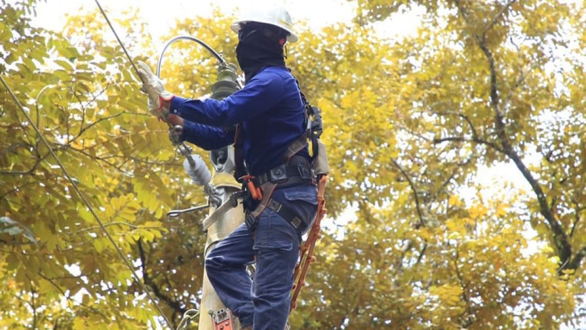 WhatsApp Image 2024-09-09 at 2.28.21 PM (1) (1)