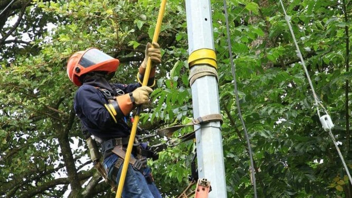 WhatsApp Image 2025-03-06 at 11.30.27 AM (3)