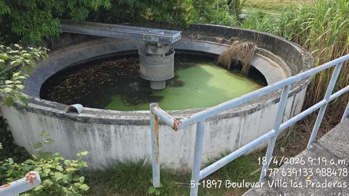 WhatsApp-Image-2026-04-18-at-4.43.39-PM-1 (1)