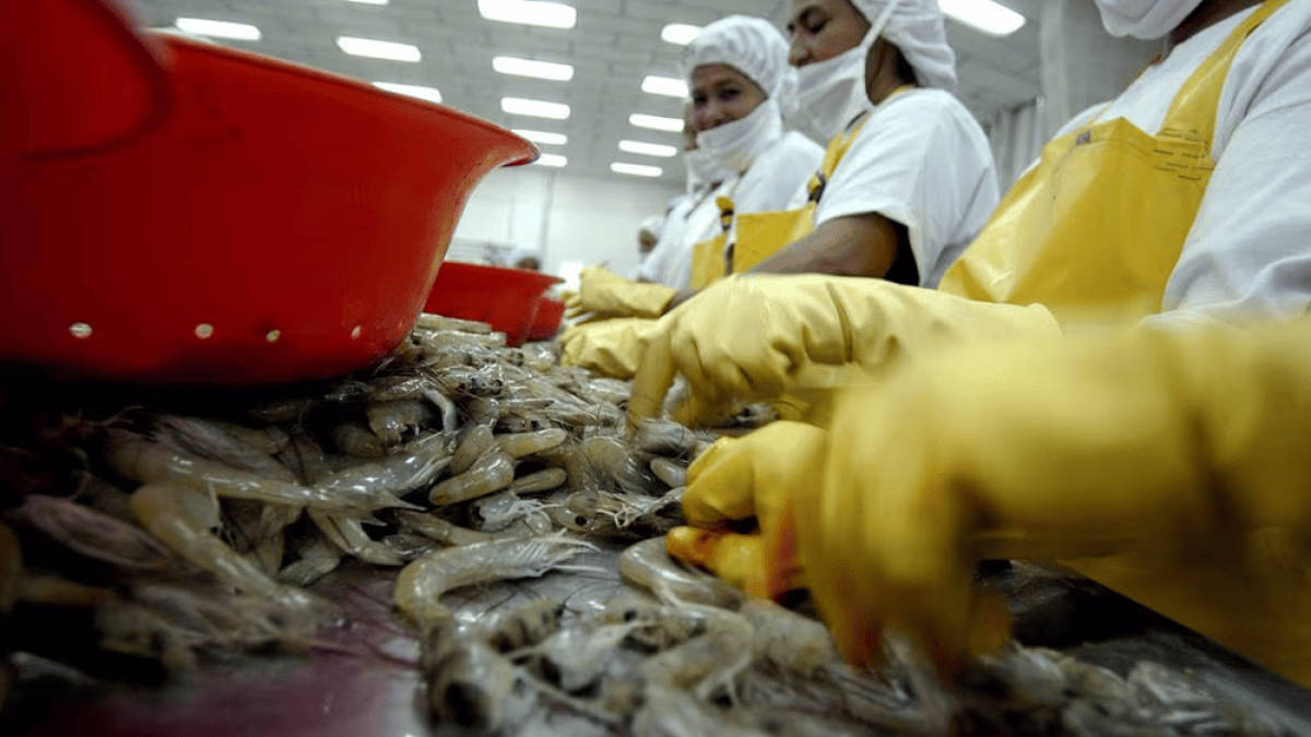 ZKR4E3SPOBEZTA5I74KZR4OBR4 (1)