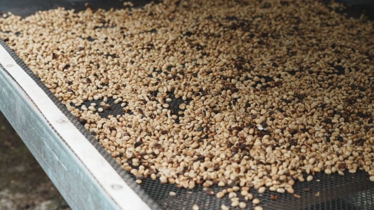 bc9da12e-bfd4-49bb-903a-924a0e5fc7e3-1536x864 (1)