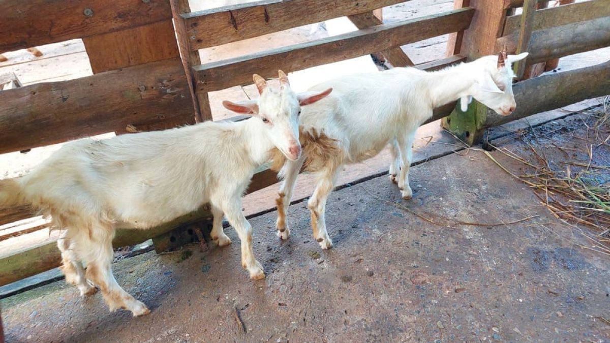 f52275d8-ef4d-486d-914b-75a85658e7bb (2)