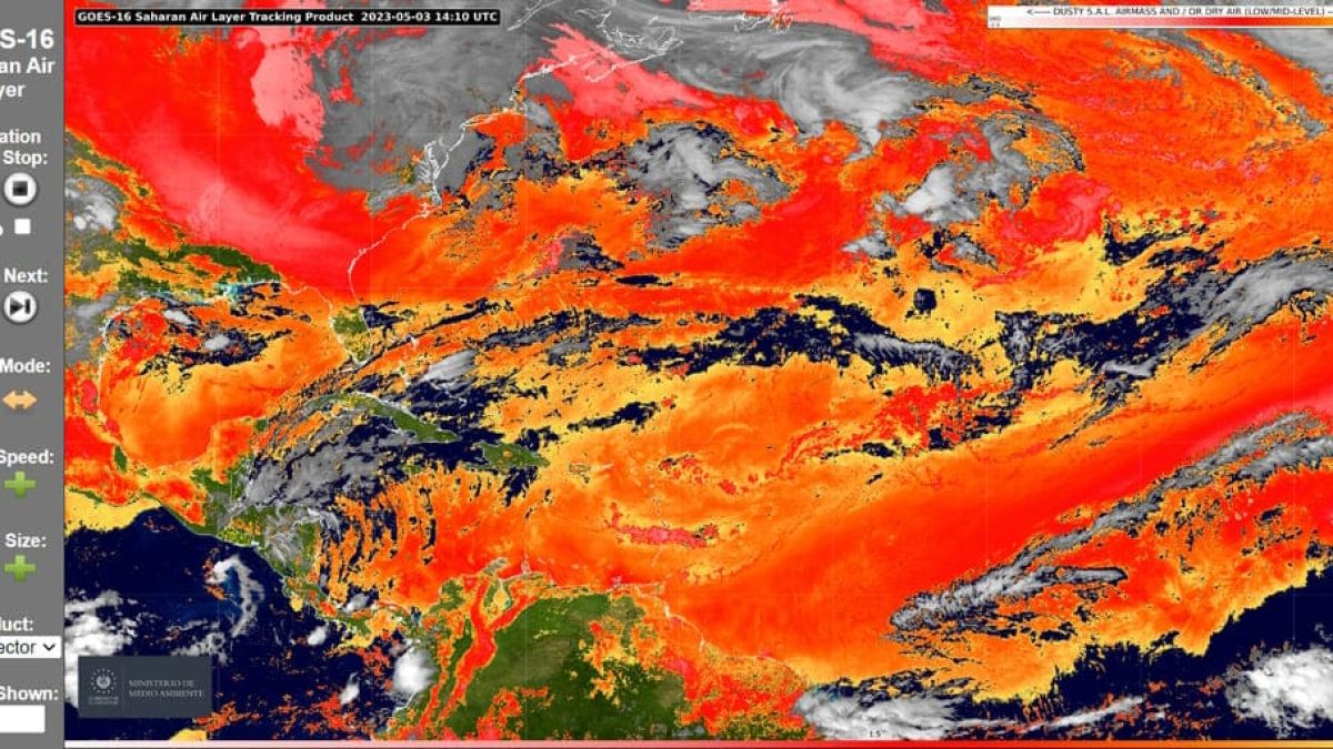 satelite (1) (1)